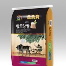 무안-10 아이뉴스24