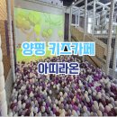 양평 키즈카페 아기랑 실내 놀이터 가성비 좋은 아띠라온