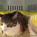 오주동물병원 이미지