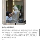 노원역미용실 예움헤어 이서 수석디자이너 레이어드컷 후기
