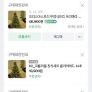 볼륨트리