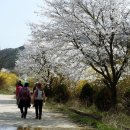 보성강6 이미지