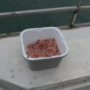 거제에서의하루 이미지