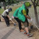 온양3동 모종로 이미지