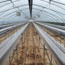 서현수 농장 이미지