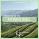 송천마을 정자 | 하동 정금차밭 정자 (정금정) 녹차밭이 예쁜 경남 하동 여행 가볼만한곳