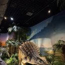 고성공룡박물관야영장 | 고성 공룡박물관 후기