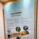 우륵박물관 | 고령가볼만한곳 우륵박물관과 가얏고마을 여행