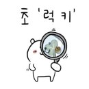 메이;율