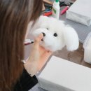 양모아네뜨 | [양모아네뜨 공방] 안양양모펠트 강아지 양모펠트 클래스 취미반 (평촌/범계/안양/의왕/판교/과천/분당)