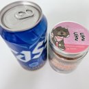 네이버 펫인플루언서 모임 New 2nd 정모 후기