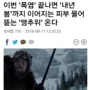 시골보쌈&감자옹심이 네이버블로그