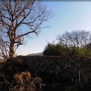 동강노모당 이미지