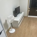 울릉푸른나무 이미지