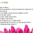 월호 이미지