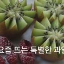 요즘과일 이미지