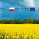 청정베스트 마트 이미지