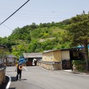 오미경로당 Daum카페