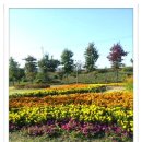 쇠꼴마을 이미지