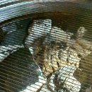 금곡지 | 금곡동 맛집 솔방 구리 삼겹살 금곡 직영점