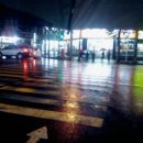 조창희 약국 이미지