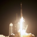 인튜이티브 이미지