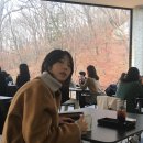 놀부광고디자인 이미지