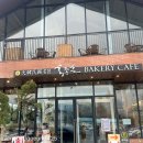 미사동로 | 대한민국 명장 홍종흔 베이커리 카페 내돈내산 방문 후기