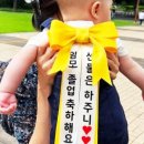 리본프랜즈 이미지
