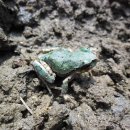 풍요농장 이미지