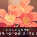 이포유여성의원 네이버블로그