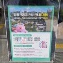 여자 둘, 고양이와 함께 사는 일상 기록 | 장인닭갈비·서울시립미술관·정동전망대 | 7월 첫째주