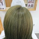 텔리뷰티 이미지