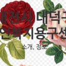 보필(대덕점)