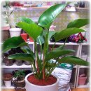 아쿠아PC방 이미지