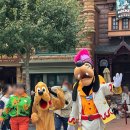 주식회사 더소울 | 상하이 디즈니랜드 / 고덕지도 , 꿀팁 ,후기, 어트랙션 추천 ,대기시간