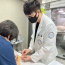 성신동물병원 이미지