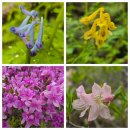 승주읍작은목욕탕 | 조계산 (2025 0511)