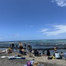 루우루우 | 하와이 카할루우 비치 빅아일랜드 코나 초보 스노쿨링 명소(옐로탱, 거북이)