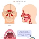 검사 및 진단을 위한 수술(생검(生檢), 복강경검사 (腹腔鏡檢査) 등) 이미지