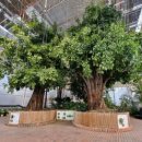 황악예술체험촌 화장실 | 아산세계꽃식물원,생태곤충원 방문후기