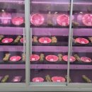 삼호한우농장 이미지