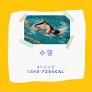 UFC 국제체육관 석남점. 복싱, 킥복싱, 무에타이, MMA 이미지