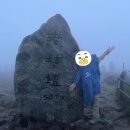 버스정류장 05-292 | 뚜벅이 버스로 서울에서 지리산 노고단 성삼재휴게소가는 방법 버스 시간표 및 요금 동서울터미널 구례...