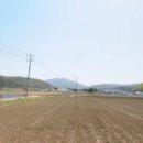 적성면사무소 이미지