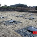 제주외가 이미지