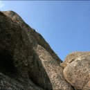 용의꼬리 이미지