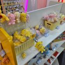 P-5C15 | 억까의 연속 P들의 1박 2일 대전 여행