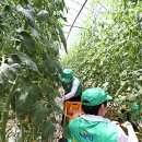 박주성농장 이미지