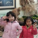 한국창의어린이집 이미지